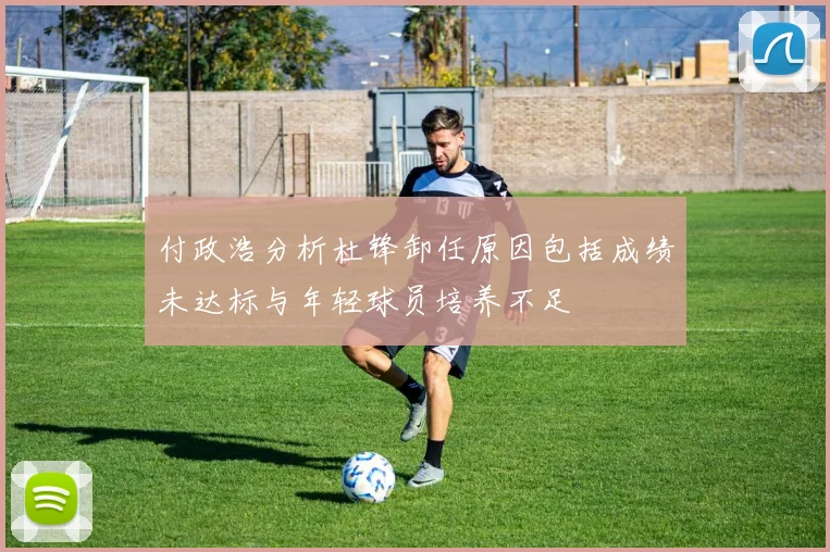 付政浩分析杜锋卸任原因包括成绩未达标与年轻球员培养不足