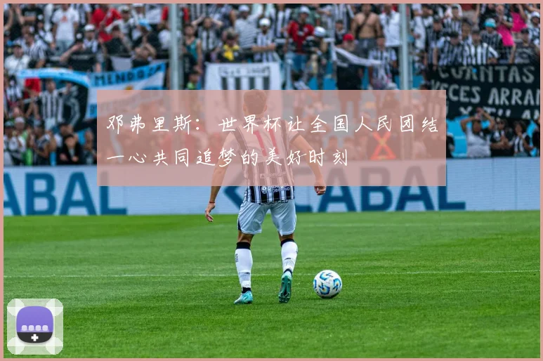 邓弗里斯：世界杯让全国人民团结一心共同追梦的美好时刻